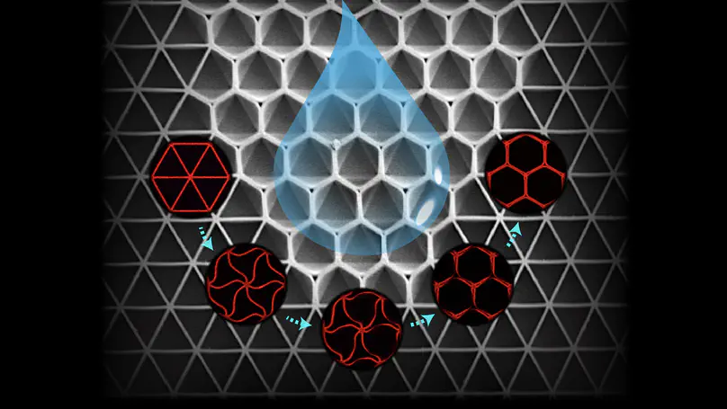 Reconfigurable cellular architecture with responsive molecular domains